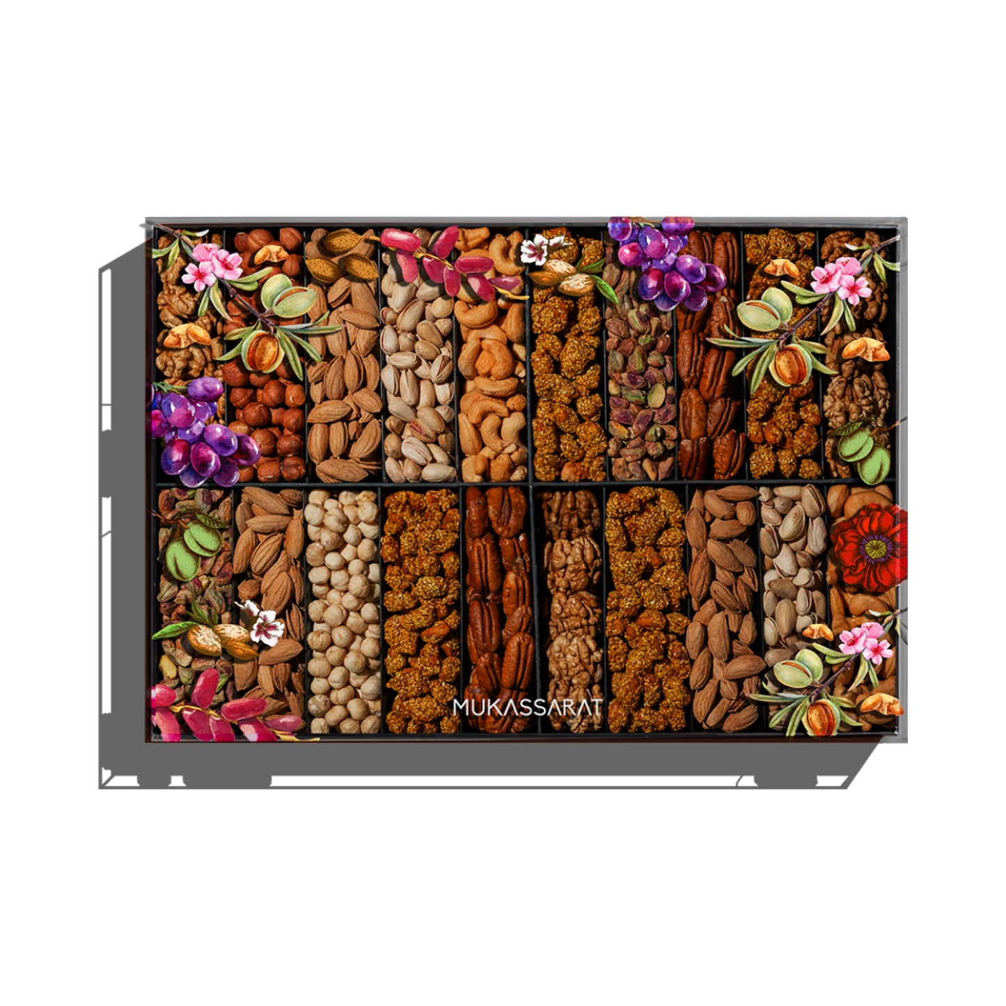Large Acrylic Nuts Set