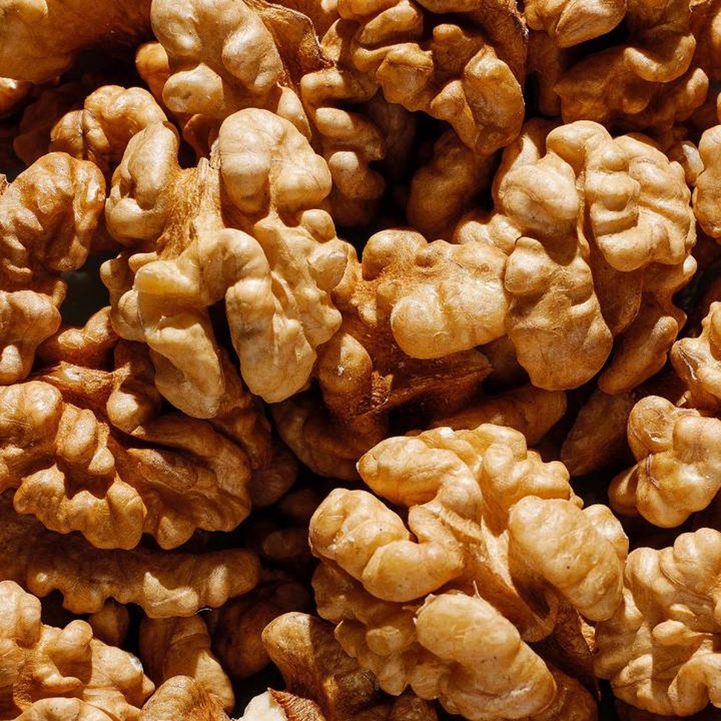 جوز